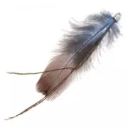 Pluma 80mm Light Blue x1