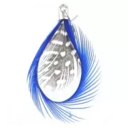 Pluma 50mm Dark Blue x1