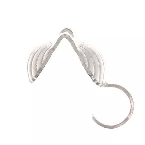 Tapanudos conchas 5 mm -Plateado x6