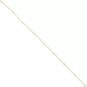 Cadena de eslabones con bordes alternados (1x2) redondas de 2 mm Gold filled x50cm