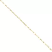 Cadena Jaseron 2,3 mm en Gold filled x20cm