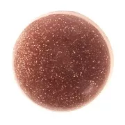 Cabochón redondo 6 mm Gold Stone - Pierre de soleil x1