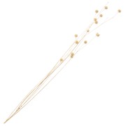 Lino natural seco para arreglos florales x1 tallos|raw }}