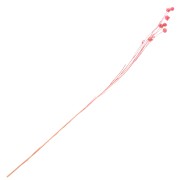 Lino rosa seco para arreglos florales x1 tallo|raw }}
