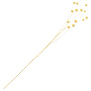 Lino seco amarillo para arreglos florales x1 tallo|raw }}