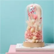 Lagurus seco - rosa - para arreglo floral x5 tallos