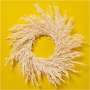 Avena seca natural para arreglos florales x5 tallos