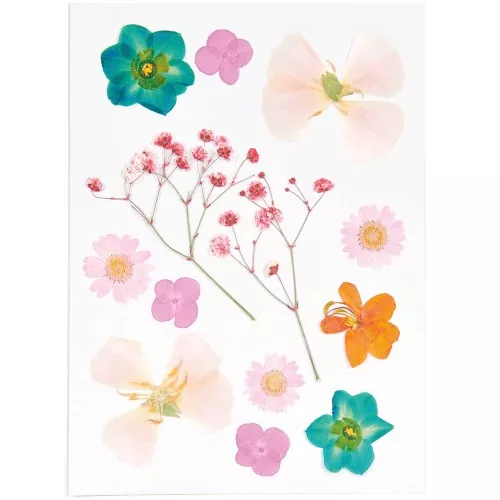 Surtido de flores secas y prensadas sobre tabla - Mix Naranja - Turquesa