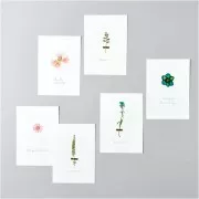 Surtido de flores secas y prensadas sobre tabla - Mix Naranja - Turquesa