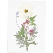 Surtido de flores secas y prensadas sobre tabla - Mix White - Purple|raw }}