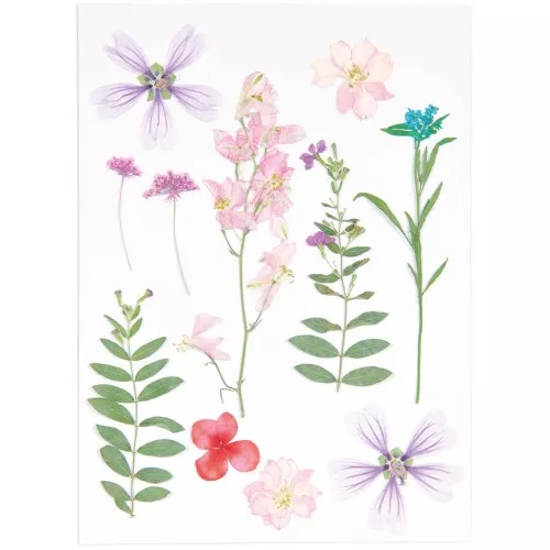 Surtido de flores secas y prensadas sobre tabla - Mix Rose - Violet