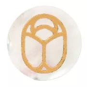 Cabujón plano redondo de 15 mm - escarabajo grabado excluido de Perles & Co - Madreperla x1