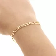 Cadena de caballo con baño de oro 3,9 mm - Gold filled x 20cm