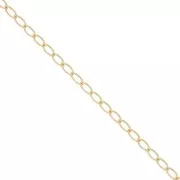 Cadena de caballo 2,9 mm - oval - en Gold filled (oro laminado) x20cm