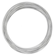 Memory Stick 60 mm - Rodiado x112 vueltas