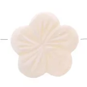 Cuentas de nácar - Forma de flor 21 mm - Natural x5