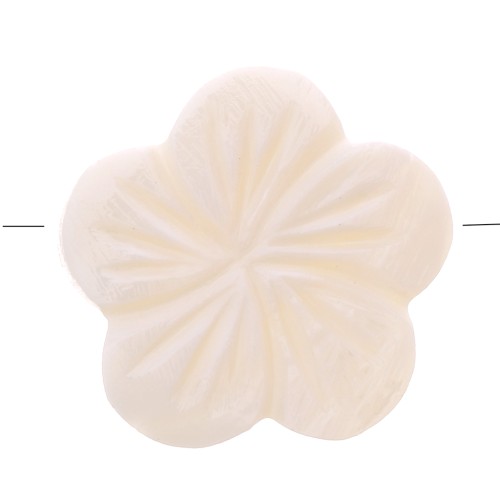 Cuentas de nácar - Forma de flor 21 mm - Natural x5