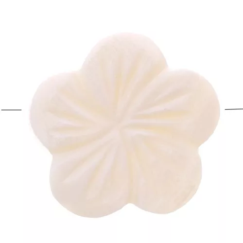 Cuentas de nácar - Forma de flor 21 mm - Natural x5