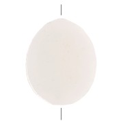 Cuentas planas de nácar - ovaladas 11x9 mm - Natural x10