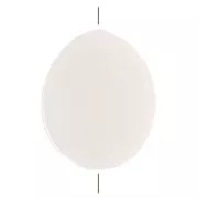 Cuentas planas de nácar - ovaladas 11x9 mm - Natural x10