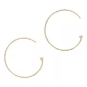 Ganchos Pendientes 18 mm - Gold filled x2