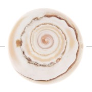 Cuenta de concha de 17 mm - Natural x1|raw }}