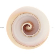 Cuenta de concha de 17 mm - Natural x1