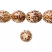 Olivas nueces de Betel 15x10 mm Natural x 5