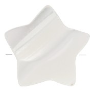 Cuenta de estrella de nácar 8 mm - Natural x1