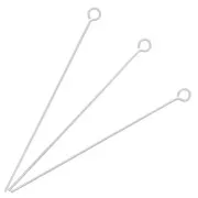 Clavo cabeza redonda 38x0,50 mm en Plata 925 x10