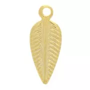 Charms hoja 11x4 mm - Chapado en oro x6