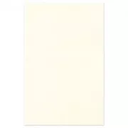 Rectángulo de fieltro 3 mm  30x45 cm Crema x1