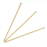 Clavos cabeza plana 25x0,7 mm - Acero inoxidable 304L Dorado x6