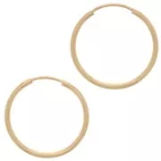 Criollos 17 mm - Gold filled x2