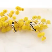 Pendientes de aro con 3 bolitas de 18 mm - Chapado en oro fino x2