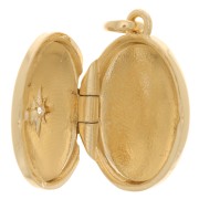 Colgante de óxido de zirconio 20x15 mm - 3 micras chapado en oro x1