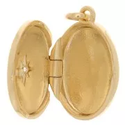 Colgante de óxido de zirconio 20x15 mm - 3 micras chapado en oro x1