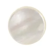 Cabochon plat rond - disco - 10 mm en nacre - Natural x1