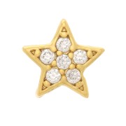 Colgante estrella con óxido de zirconio 5 mm - Dorado - Cristal x1