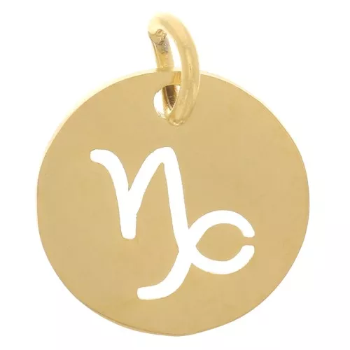 Charm redondo - Signo de Capricornio 12mm - Acero inoxidable dorado 304 x1