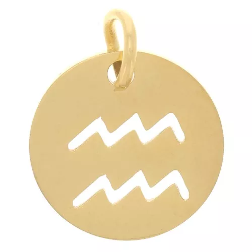 Charm redondo - signo zodiacal Acuario 12 mm - Acero inoxidable 304 Dorado x1