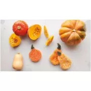 Bubble creativa - Veggie