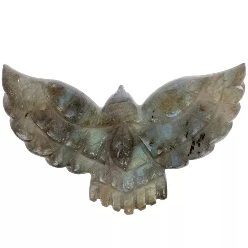 Entrepieza de piedra preciosa de águila de 42x24mm - Labradorita x1