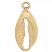 Dije concha cauri 17x8mm Dorado 316L Acero inoxidable x1