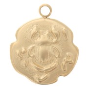 Charm irregular 14,5x12 mm - Diseño de escarabajo - Acero inoxidable dorado 316L x1|raw }}