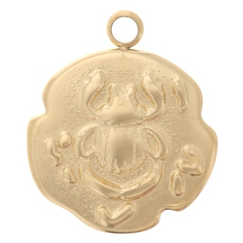 Charm irregular 14,5x12 mm - Diseño de escarabajo - Acero inoxidable dorado 316L x1