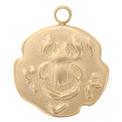 Charm irregular 14,5x12 mm - Diseño de escarabajo - Acero inoxidable dorado 316L x1