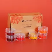 Kit de cuentas Miyuki By Perles & Co - Miyuki Delica 11/0 Flame Mix