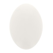 Cabujón ovalado de resina opaca 14x10 mm - Marfil x1