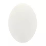 Cabujón ovalado de resina opaca 14x10 mm - Marfil x1